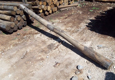 Treppiedi in legno per agricoltura